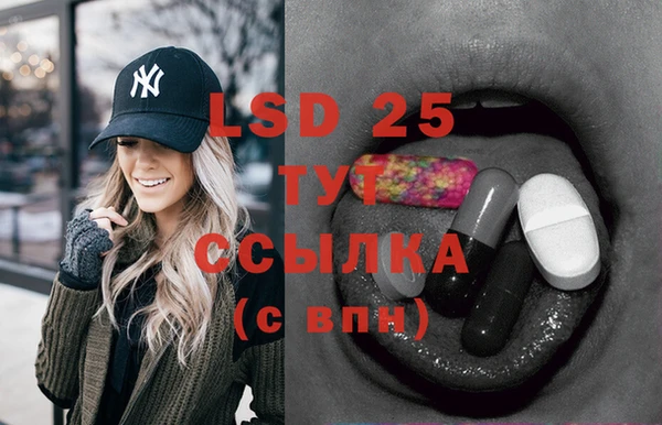 ECSTASY Абаза