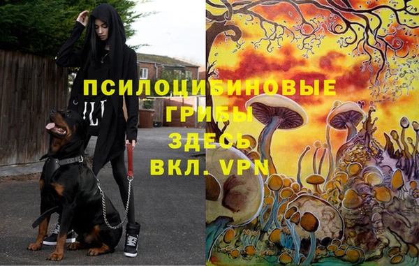 а пвп мука Абинск
