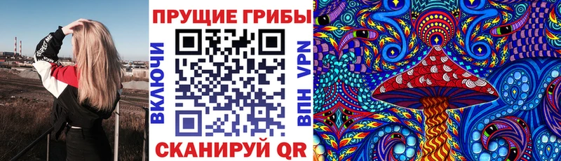 KRAKEN   Уржум  Псилоцибиновые грибы MAGIC MUSHROOMS  даркнет сайт 